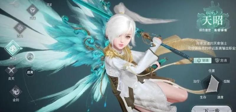 天谕手游什么职业输出高点