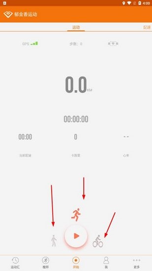 郁金香运动图片